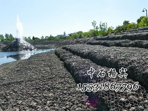 雷諾護墊 雷諾護墊