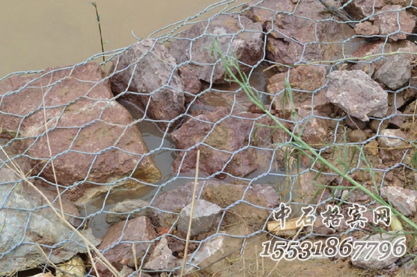 鍍鋅綠濱墊 鍍鋅綠濱墊