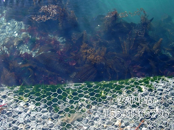 鍍鋅鉛絲石籠.jpg 鍍鋅鉛絲石籠.jpg